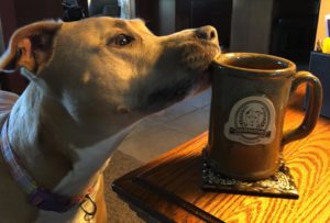 Bare Bones Brewery dog