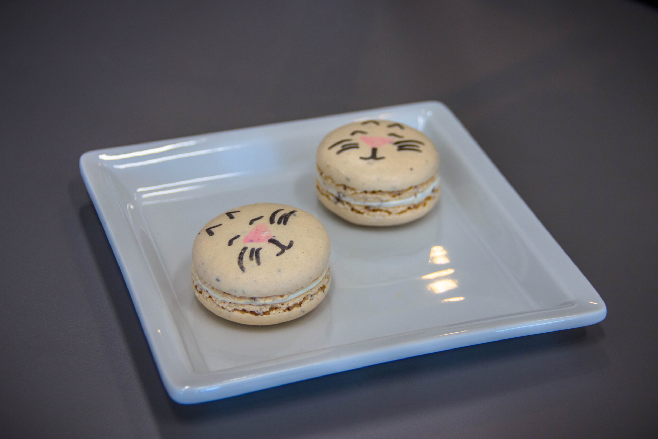 Cat macarons at Pawffee Shop